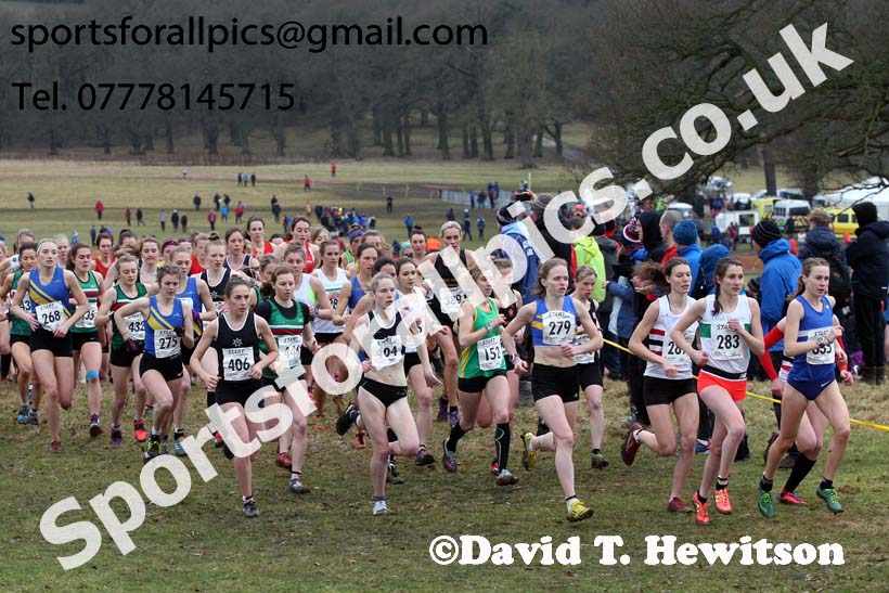 Senior women, 2018 Northern Cross Country Champs., Harewood House, Leeds. Photo: David T. Hewitson/Sports for All Pics